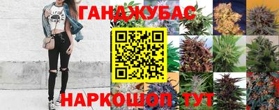эйфоретик Бузулук