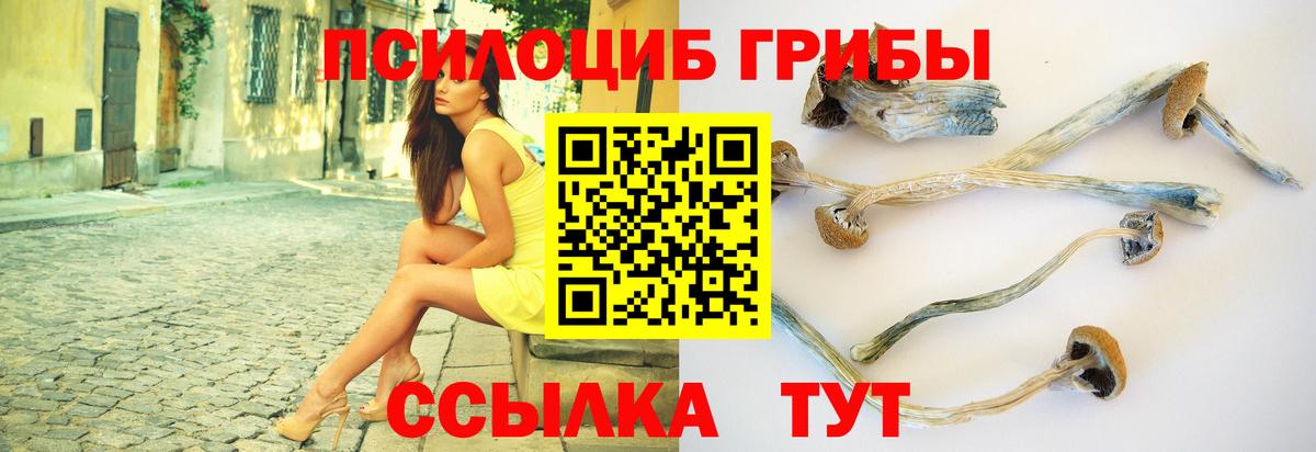 Псилоцибиновые грибы ЛСД Ревда